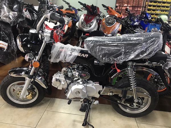 ice bear monkey bike