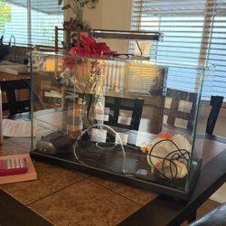 9.5 Gallon Rimless Fish Tank 