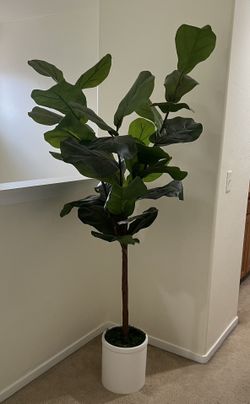 Faux Fiddle Fig Tree