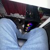 Josue Moreno