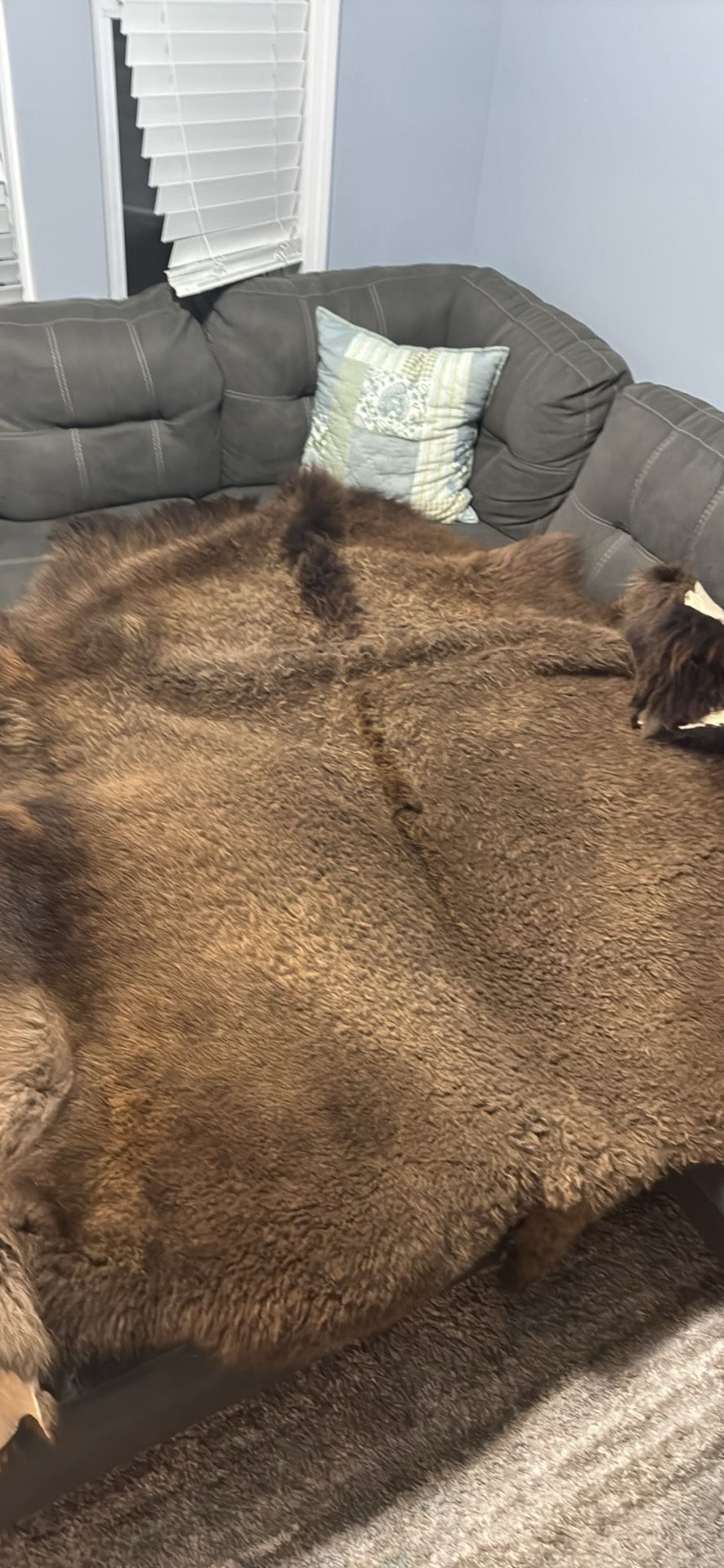 Buffalo Hide - New