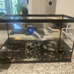 10 Gallon Fish Tank And Starter Kit 