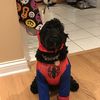 Charles Jr.