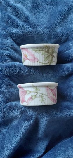 Pillivuyt France Porcelain Floral Ramekins