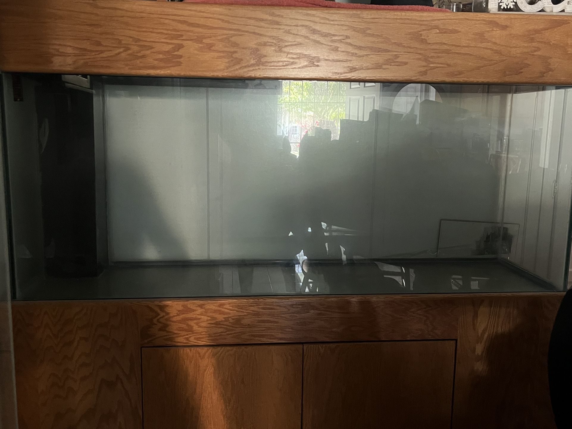 Fish Tank 200$ 100G