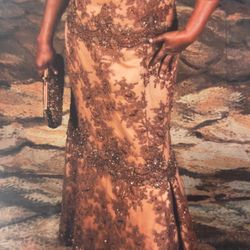 Brown Dress Size 16 Comes With a  Shoes And A Purse 