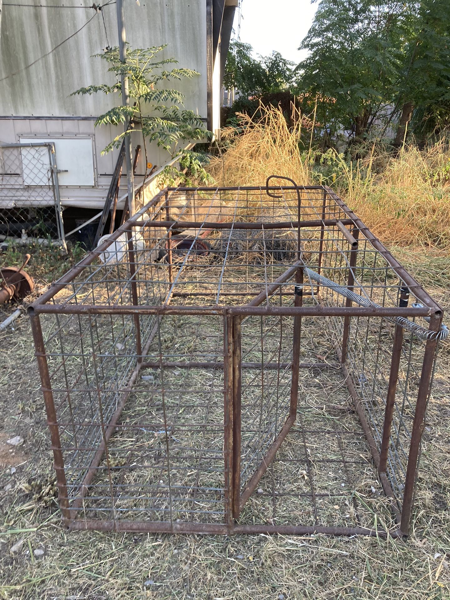 Hog trap for Sale in Von Ormy, TX OfferUp