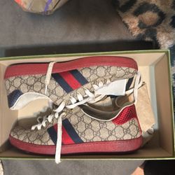 Gucci Shoes 