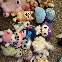 Stuffies Assorted