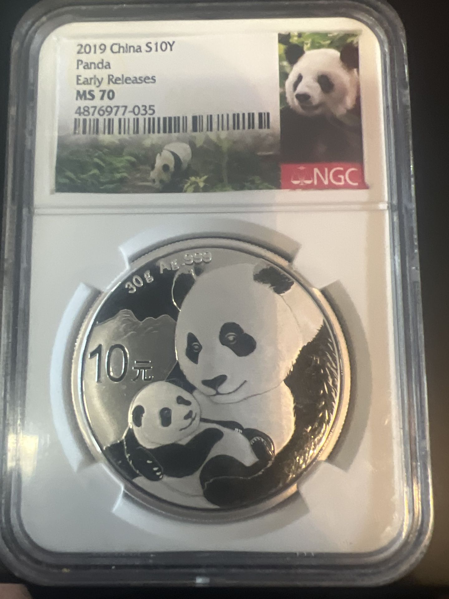 2019 China 10 Yuan Silver Panda, graded NGC MS 70 Early Releases: 