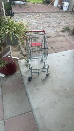 Kids shopping cart