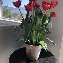 Artificial Flower Pot 