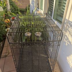 Bird Cage 80 Bucks 