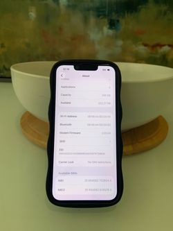 iPhone 17e /  256GB / unlocked to any carrier