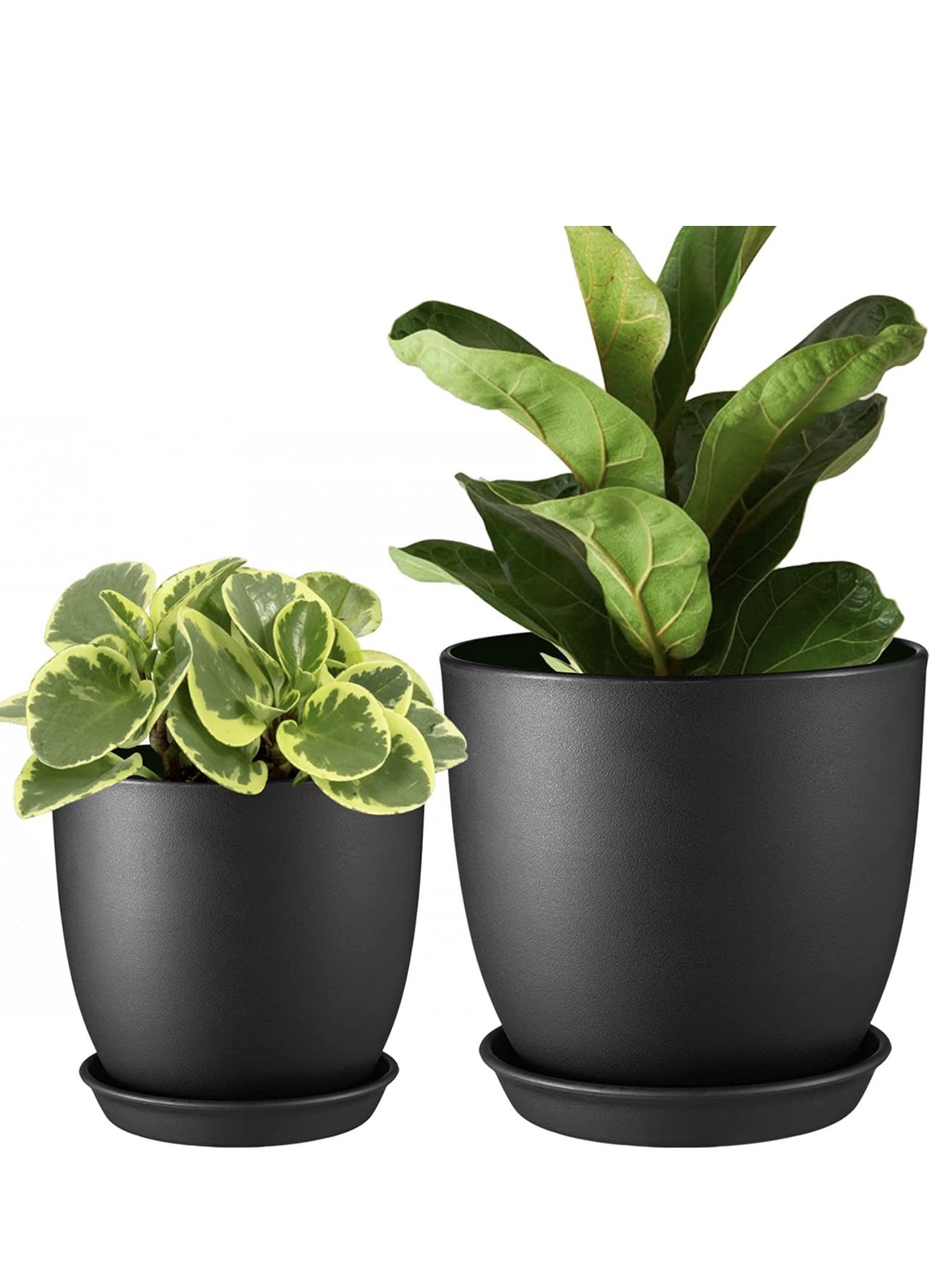 Planters Pot | Pack of 2