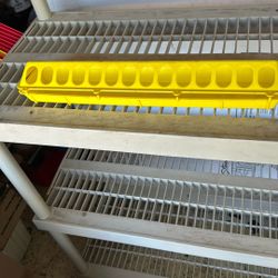 Chicken Feeders 