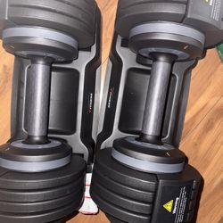 Adjustable Dumbbells (15-55 Lbs.)