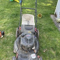 Lawn Mower/ Weed Wacker 