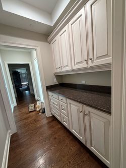 Bathroom and Butler pantry cabinets
