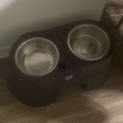 Dog Bowl 