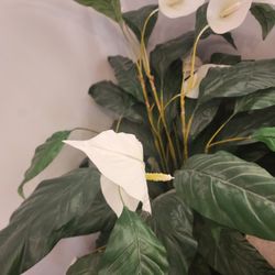 Artificial  House / Indoor Plant Fake Tree All 3