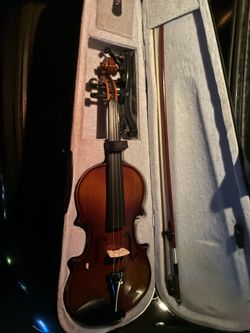 Violin with holding case