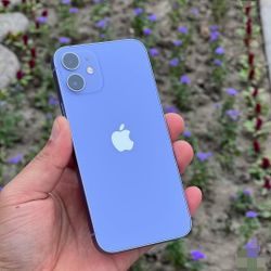 iPhone 12 Mini Unlocked With Warranty 