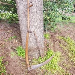 Austrian forged scythe ready for work