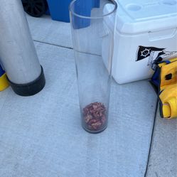 Vase 24” 