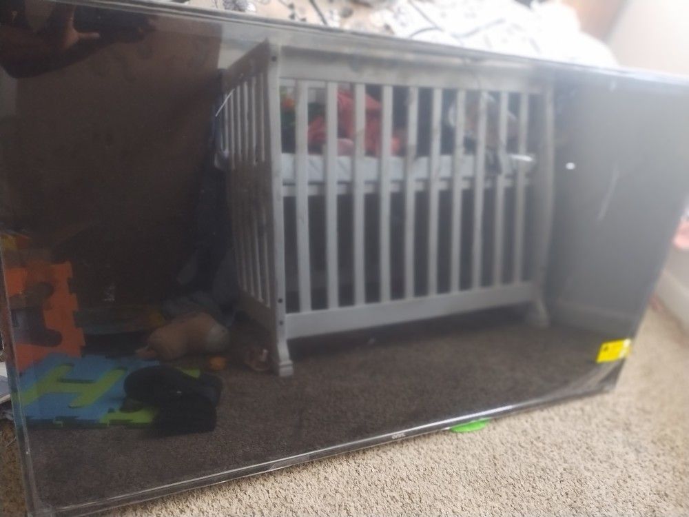 55 Inch Ruku