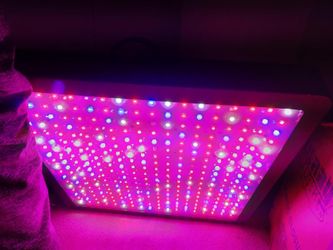Led Full Spectrum 1400 Watt Grow Lights 