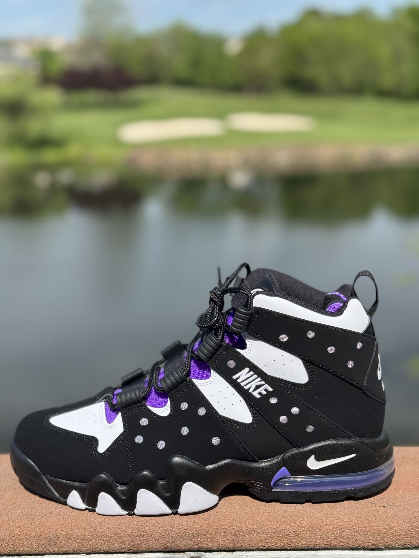 Charles Barkley 94