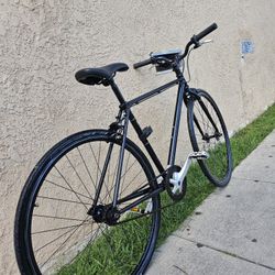 Trek Fixie Bicycle $190