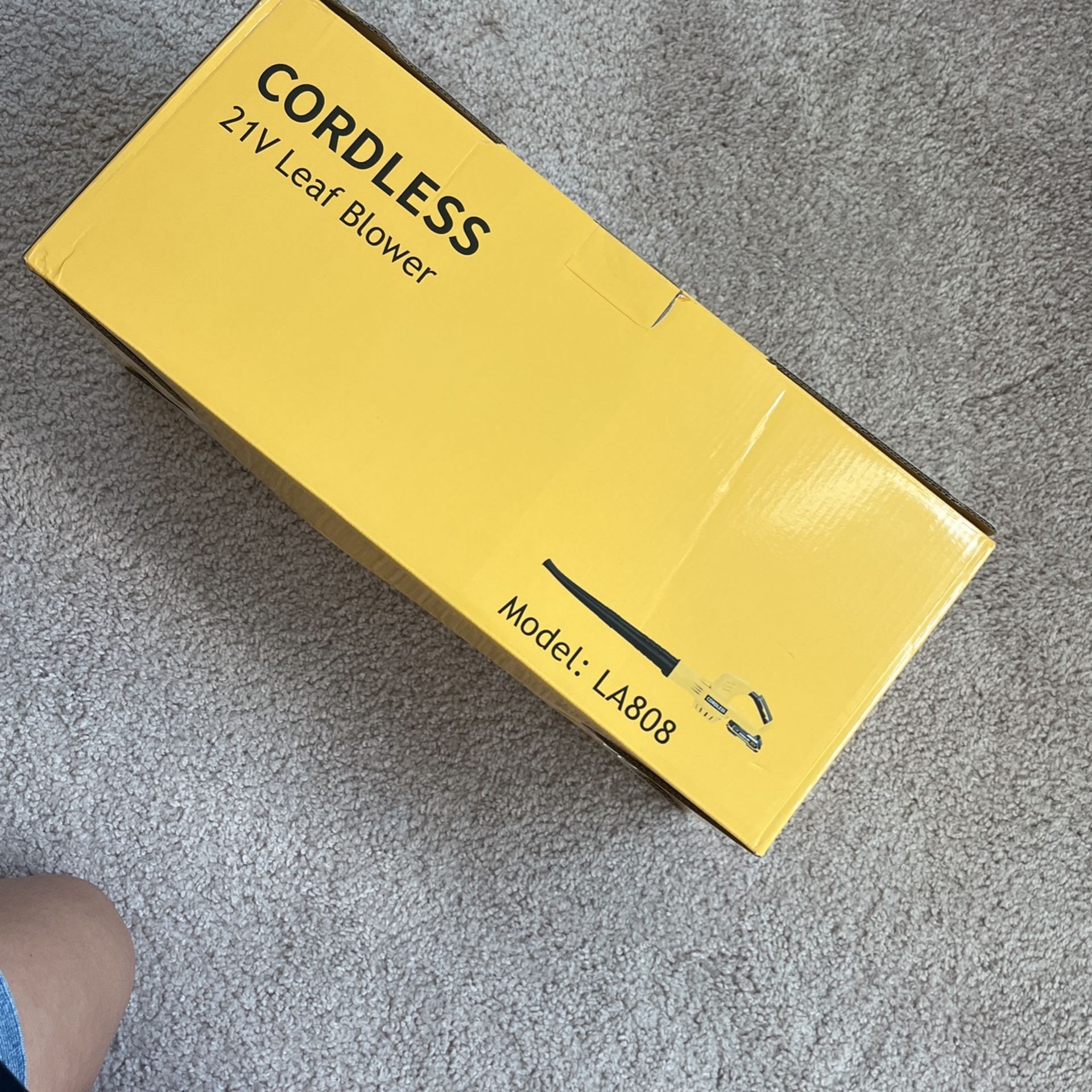 Cordless Leaf blower