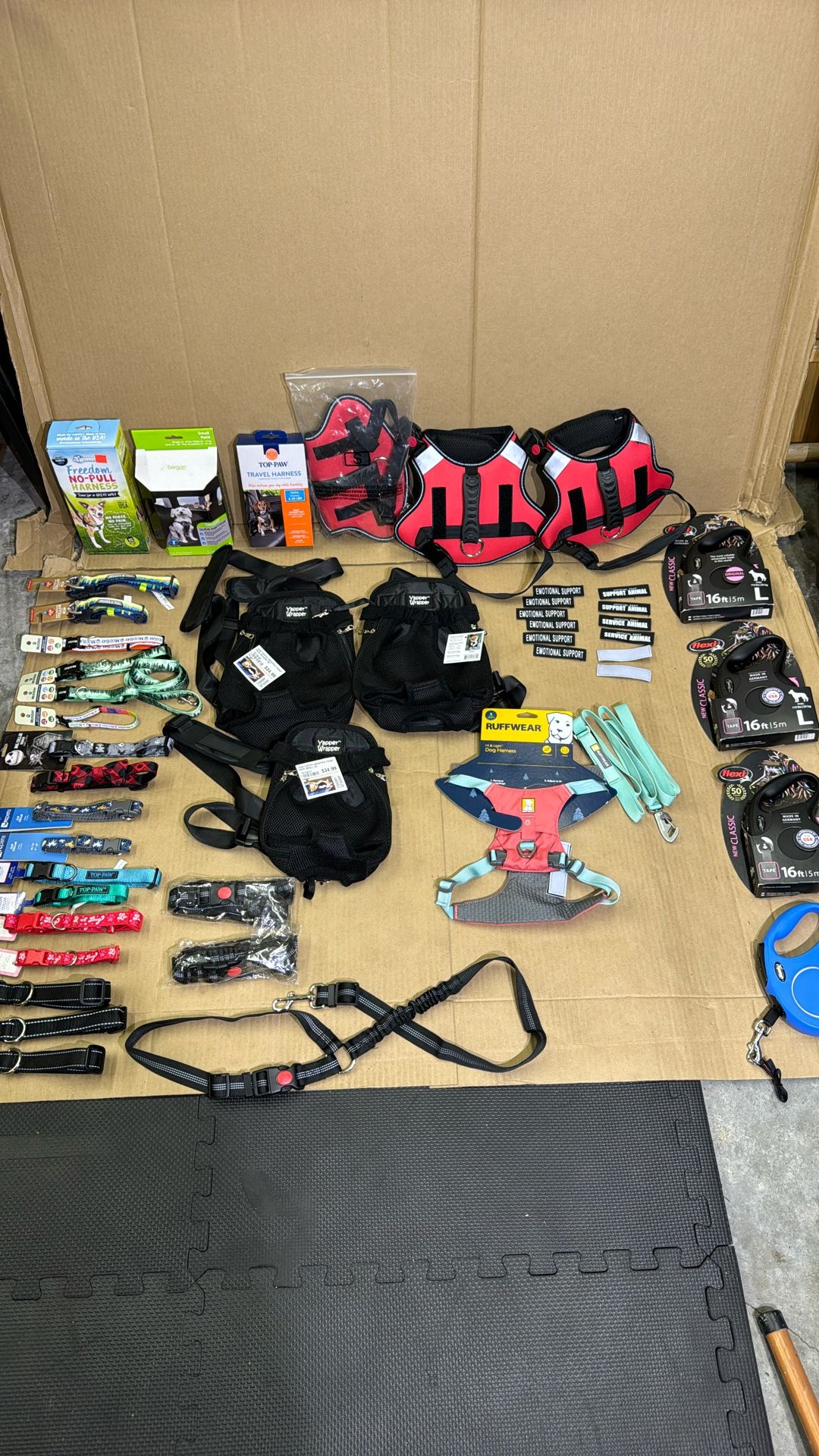 Dog Collars, Leashes & Harnesses