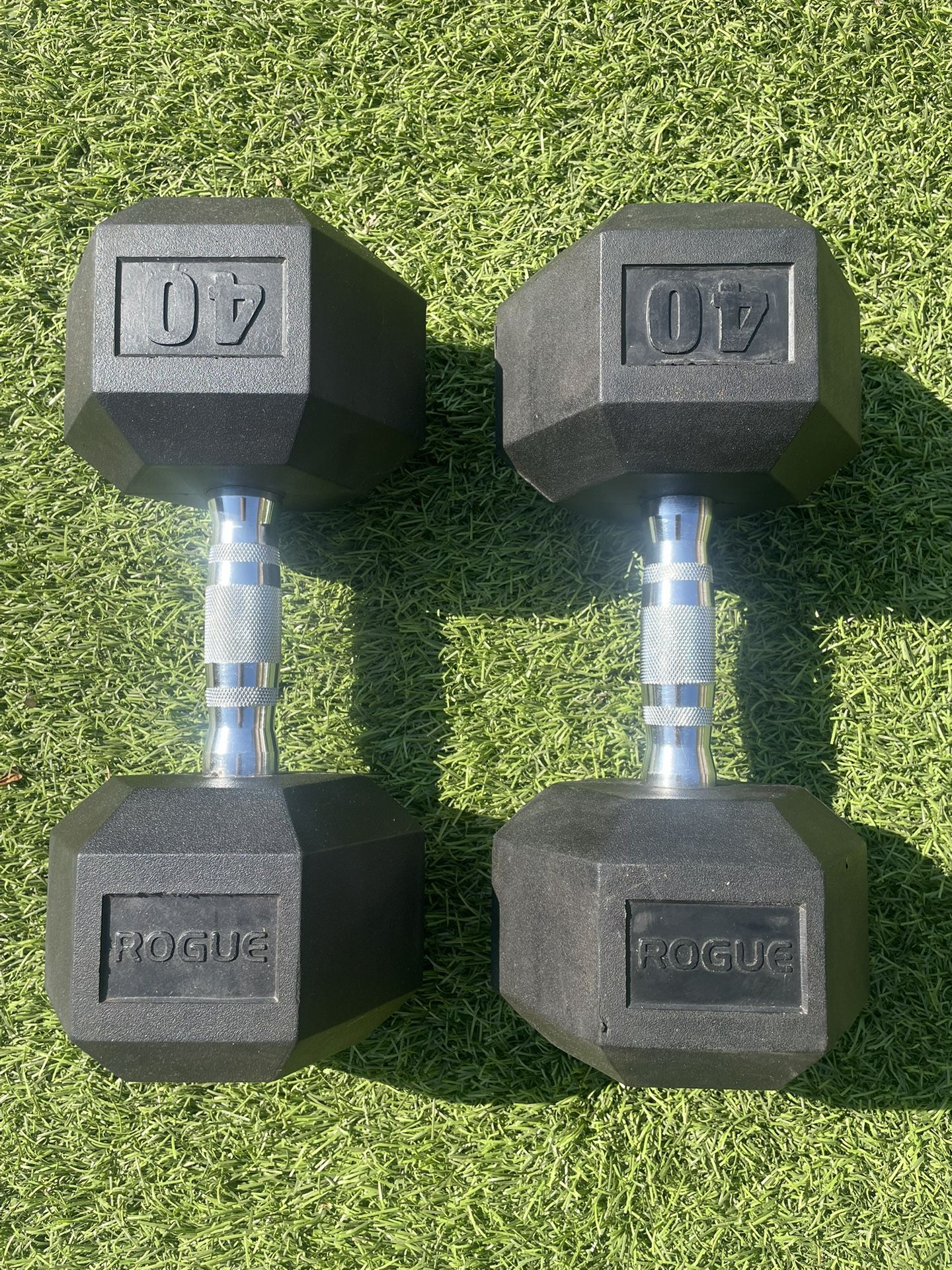 Rogue 40lbs Dumbbells
