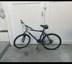 Blue Giant Yukon bicycle