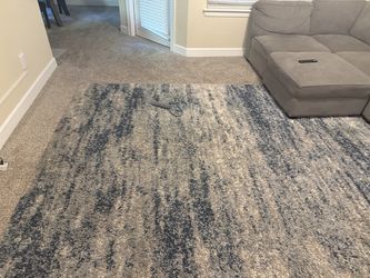 Couch and rug for sale