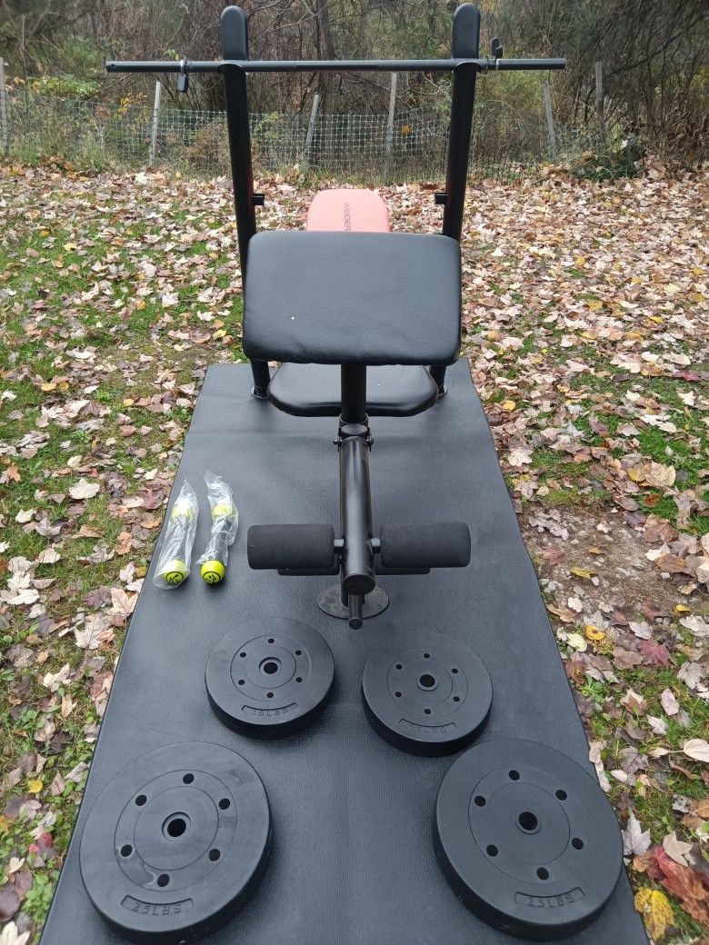New Weight Set with Adjustable Bench,Bar,80 Lbs Weight And Two Small Dumbbells Delivery Available