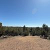Roula