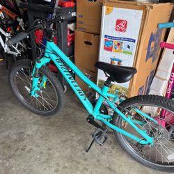 Specialized Hot Rock Kids Mountain Bike 