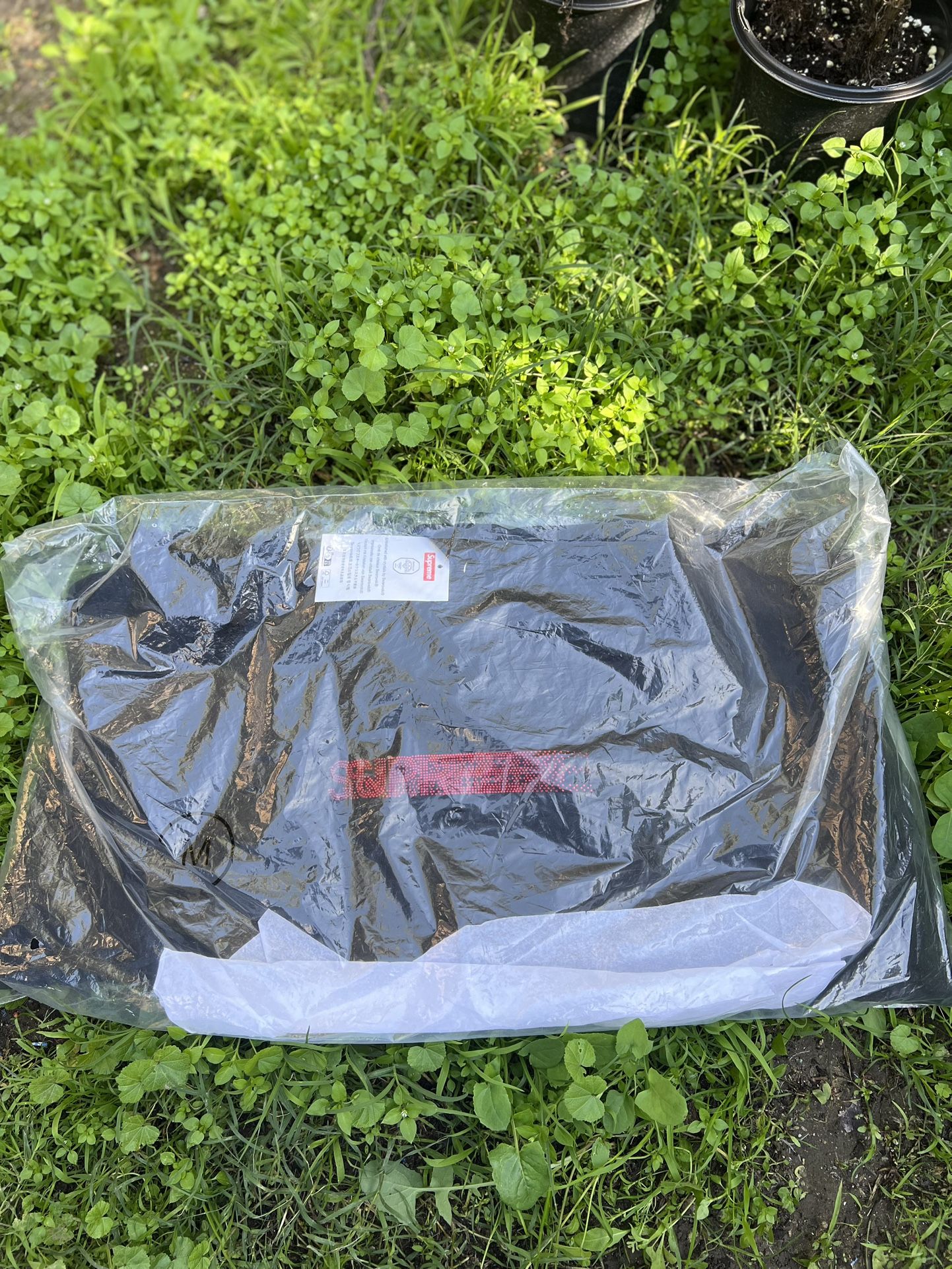 Supreme Swarovski Motion Logo Hoodie 