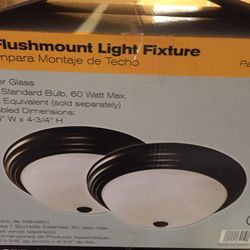 New Flush Mount Ceiling Light [ One ]