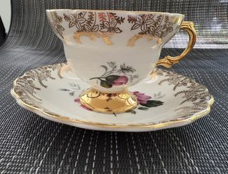 Queens Rosina Floral Design Roses Bone China Teacup & Saucer