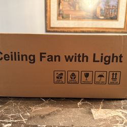 Hisummer Ceiling Fan