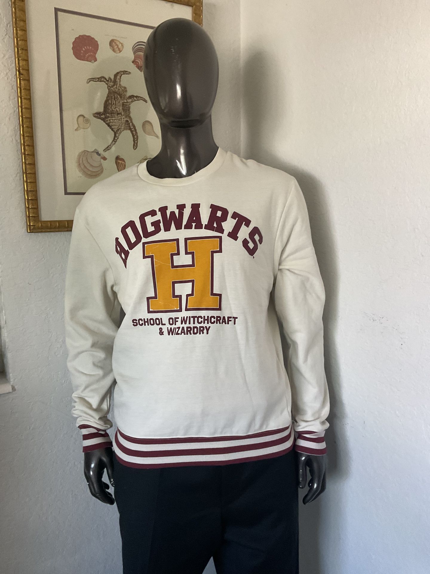 Harry Potter Hog warts School And Witchcraft Sweatshirt