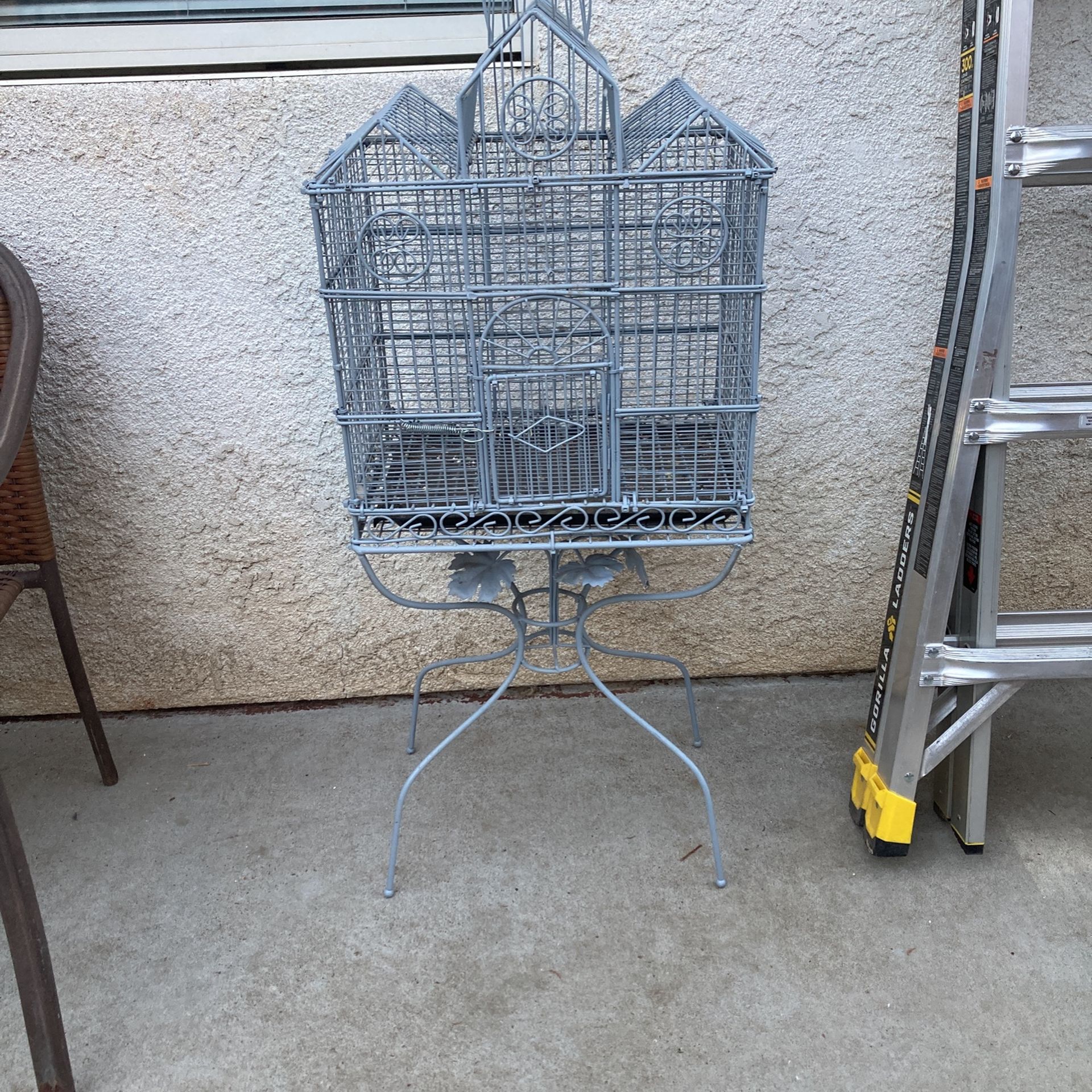 Bird Cage