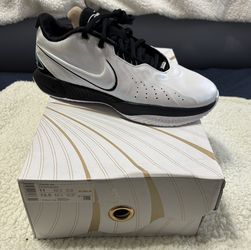 LTS - Lebron 21 Cochinilion DS Sz 11us.