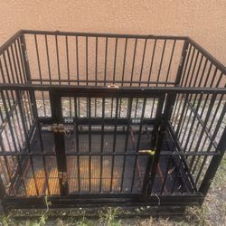 Dog Cage