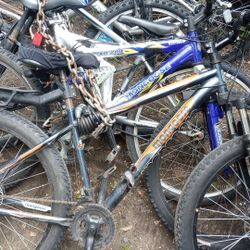 Mongoose Mountain Bike Fat Tire